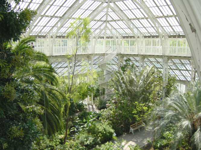 Kew2