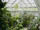 Kew2